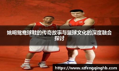 姚明鸳鸯球鞋的传奇故事与篮球文化的深度融合探讨