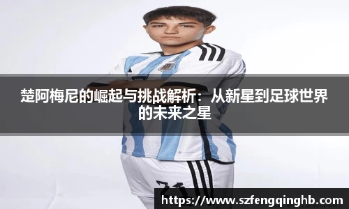 多宝电竞官方网站