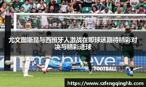 多宝电竞